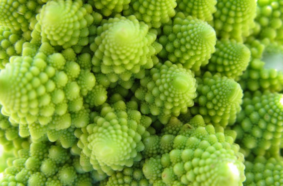 Фото Капуста, брокколи и другие овощи