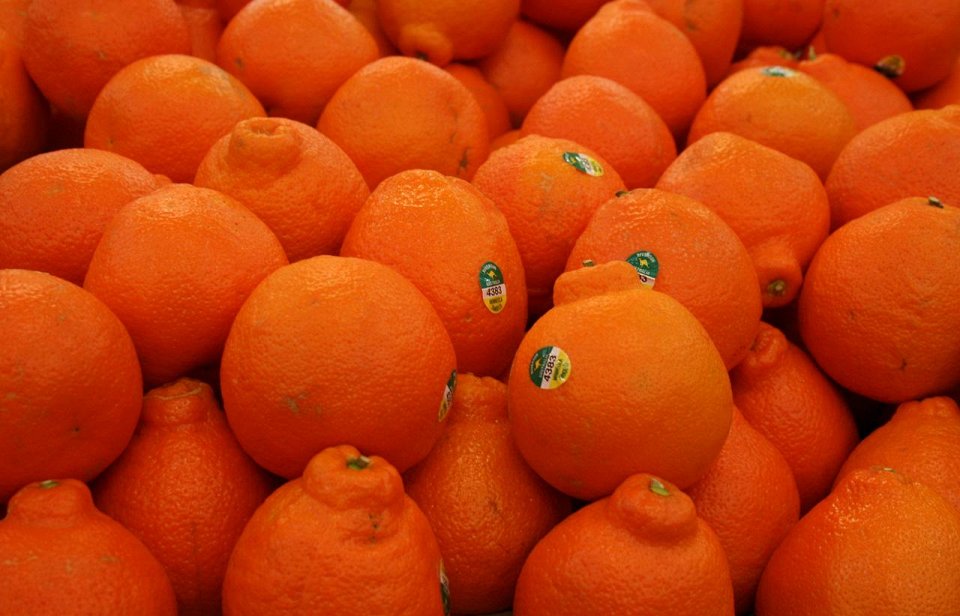 Фото Танжело