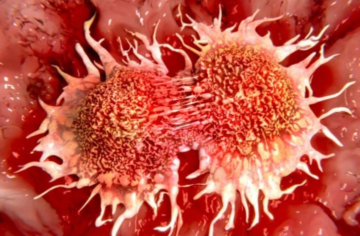 Фото Парадокс Пето