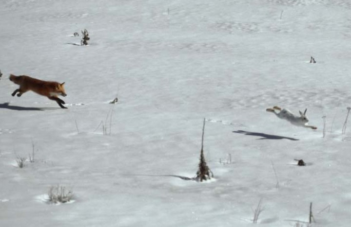 Фото Парадокс обогащения