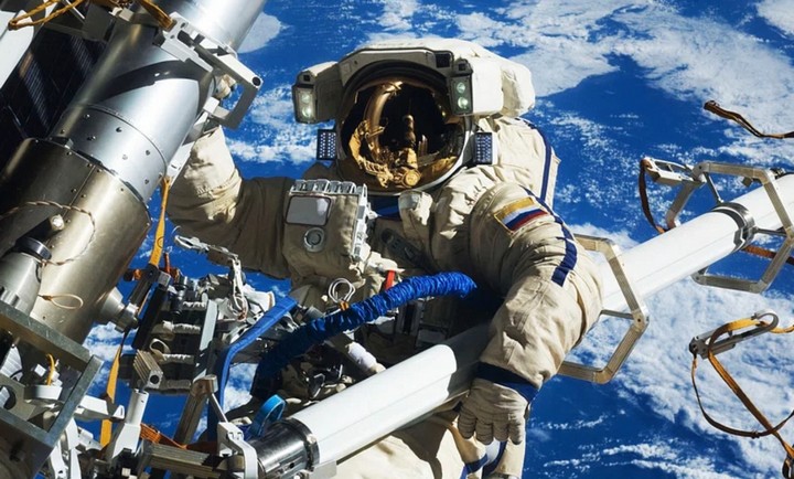 Фото Прыгающие мыши помогают сохранить здоровье суставов