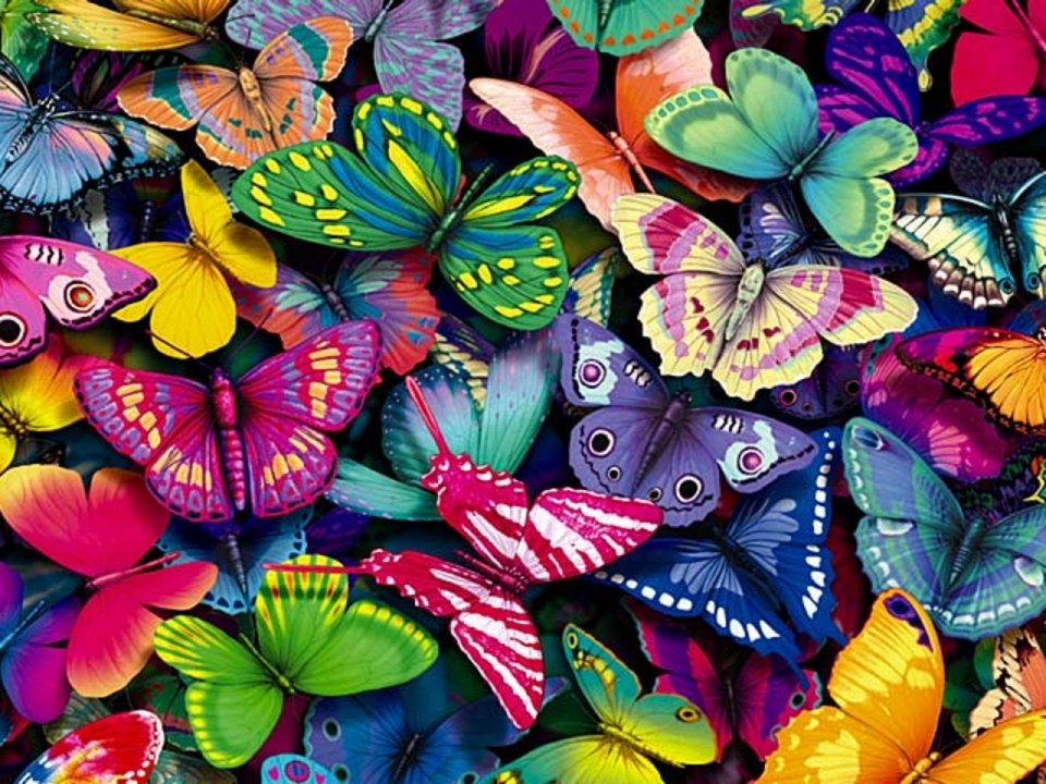 Фото Обоняние бабочек 