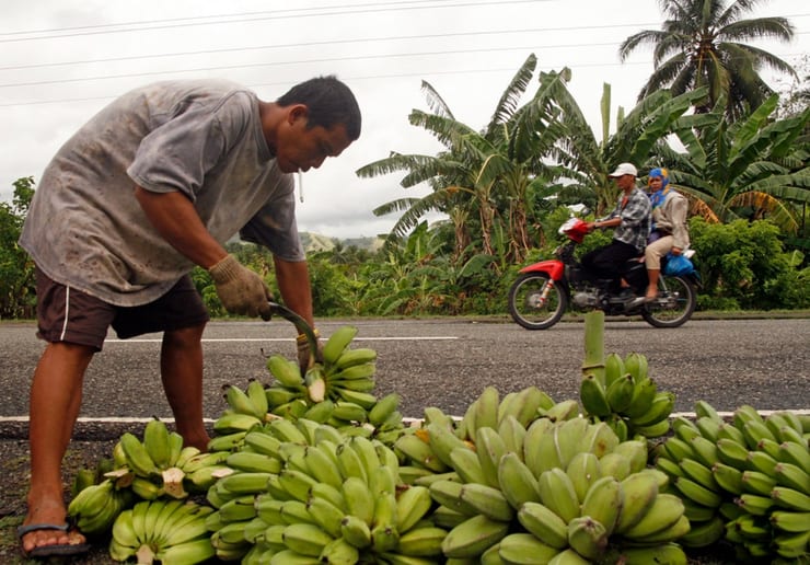 Банановая бойня 1928 года