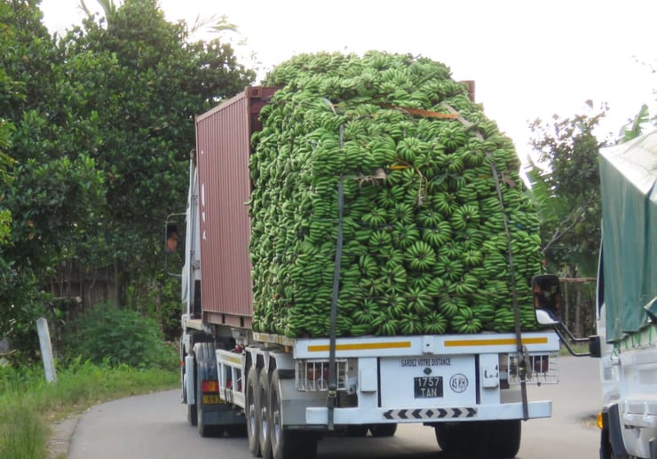 Катастрофа с грузовиком бананов