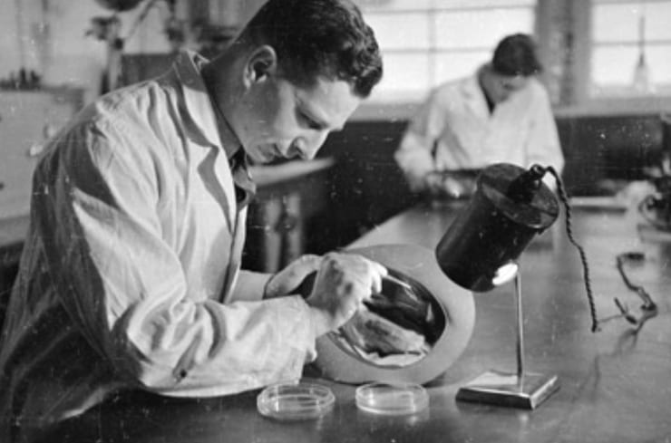 Анализ крови и серология